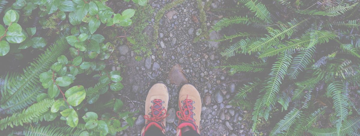 Waterproof Hiking Boots